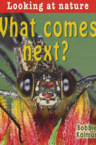 Cover of What Comes Next