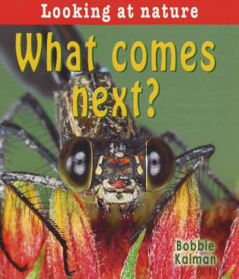 Book cover for What Comes Next