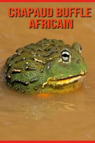 Cover of Crapaud Buffle Africain