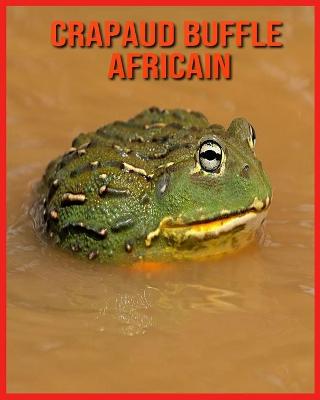 Book cover for Crapaud Buffle Africain