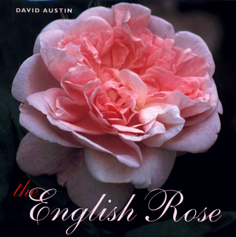 Book cover for The English Rose