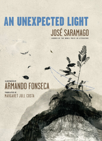 Book cover for An Unexpected Light