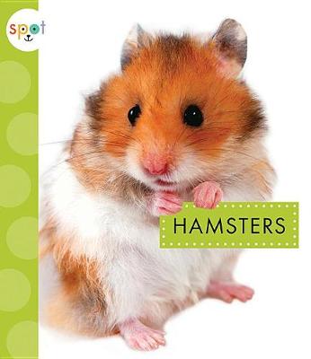 Book cover for Hamsters