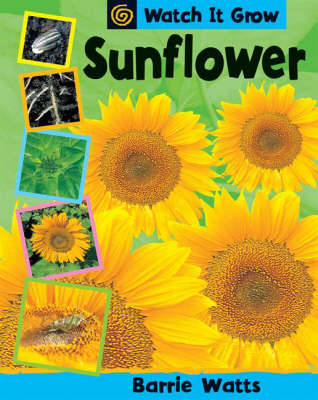 Book cover for Sunflower