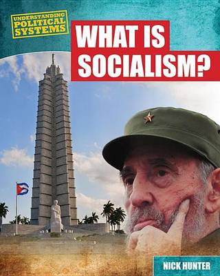 Book cover for What Is Socialism?: