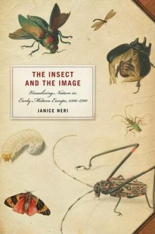 Cover of Insect and the Image, The: Visualizing Nature in Early Modern Europe, 1500-1700