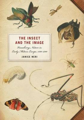 Book cover for Insect and the Image, The: Visualizing Nature in Early Modern Europe, 1500-1700