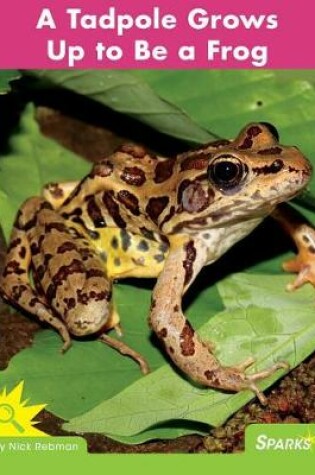 Cover of A Tadpole Grows Up to Be a Frog