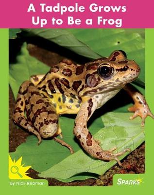 Book cover for A Tadpole Grows Up to Be a Frog