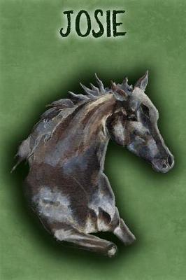 Book cover for Watercolor Mustang Josie