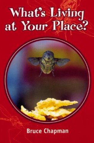 Cover of What’s Living at Your Place?