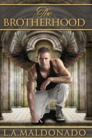 Cover of The Brotherhood