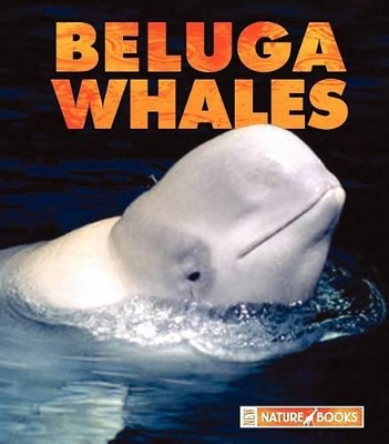 Cover of Beluga Whales