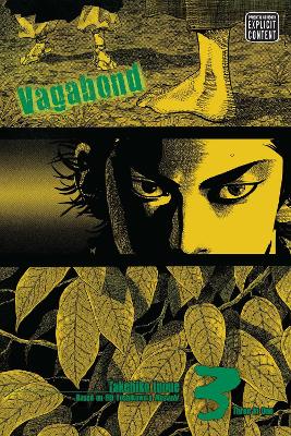 Book cover for Vagabond (VIZBIG Edition), Vol. 3