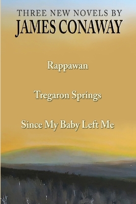 Book cover for Three Short Novels