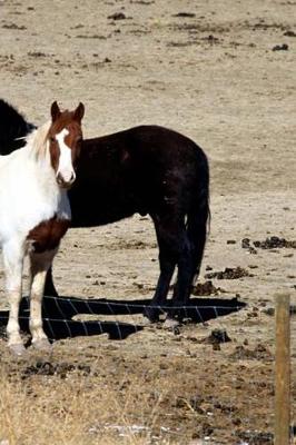 Book cover for Journal Pasture Trio Equine Horses