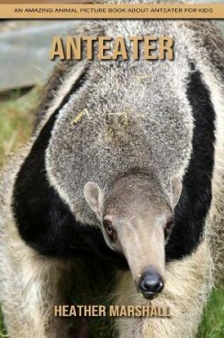 Cover of Anteater