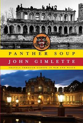 Book cover for Panther Soup