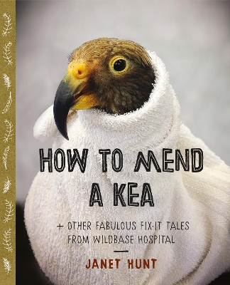 Book cover for How to Mend a Kea