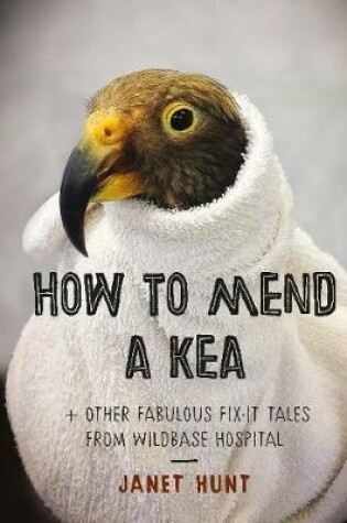 Cover of How to Mend a Kea