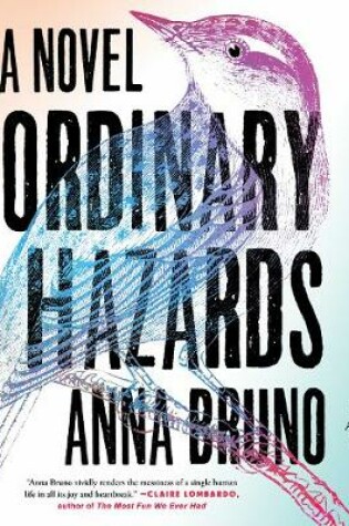 Cover of Ordinary Hazards