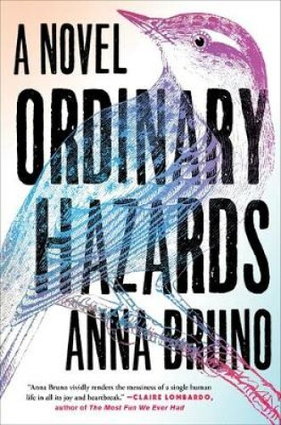 Cover of Ordinary Hazards