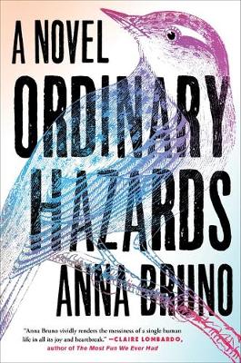 Book cover for Ordinary Hazards