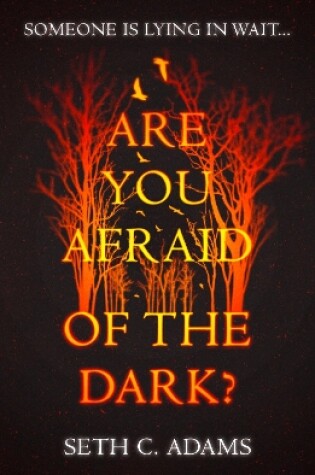 Cover of Are You Afraid of the Dark?