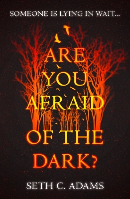 Book cover for Are You Afraid of the Dark?