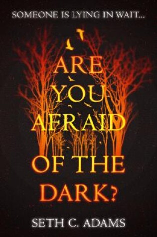 Cover of Are You Afraid of the Dark?