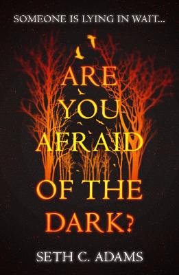 Book cover for Are You Afraid of the Dark?