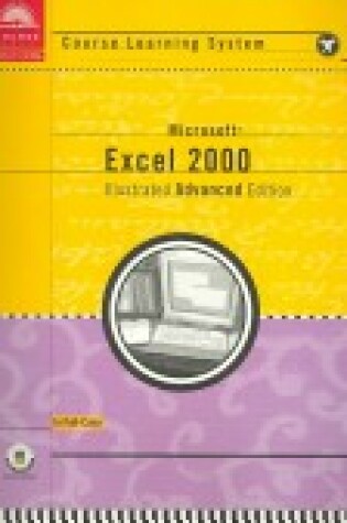 Cover of Microsoft Excel 2000