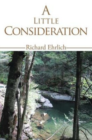 Cover of A Little Consideration