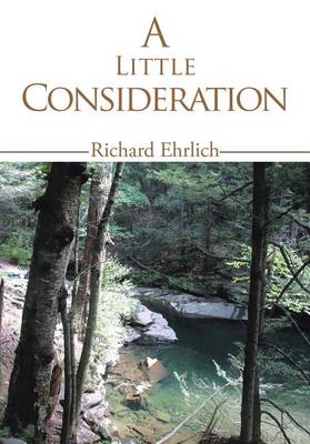 Book cover for A Little Consideration