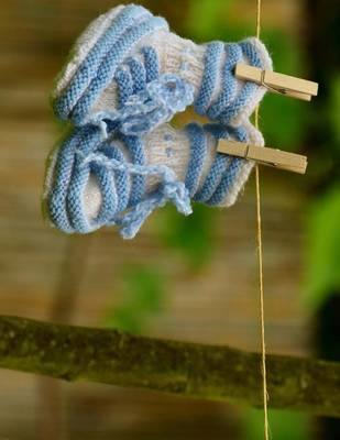 Book cover for Jumbo Oversized Newborn Blue Baby Shoes on a Clothesline