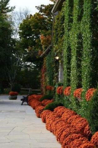 Cover of Orange Mums in an Autumn Landscape