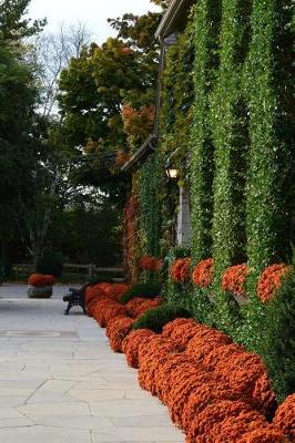 Book cover for Orange Mums in an Autumn Landscape