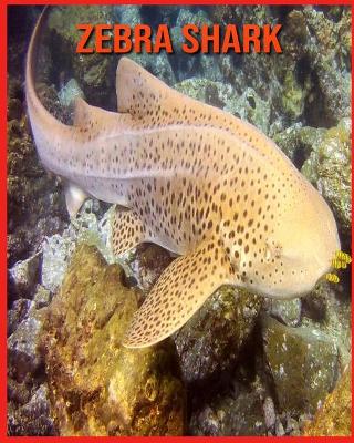 Book cover for Zebra Shark