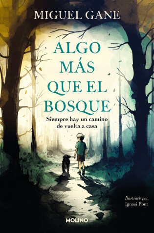 Cover of Algo más que el bosque / More Than Just the Forest