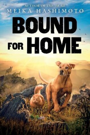 Cover of Bound for Home