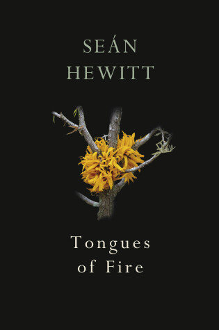 Cover of Tongues of Fire