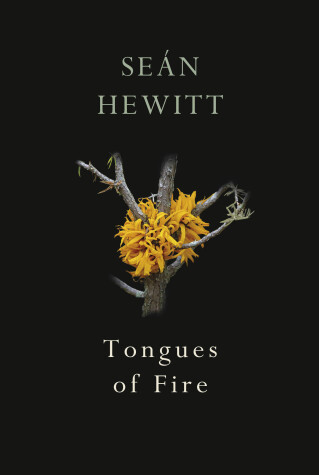 Book cover for Tongues of Fire