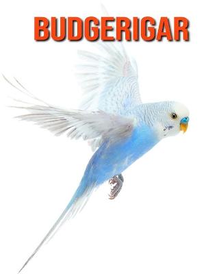 Book cover for Budgerigar