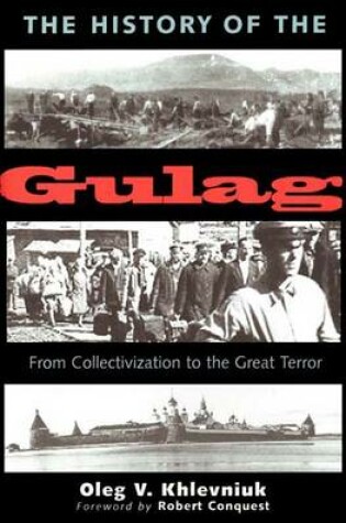 Cover of The History of the Gulag