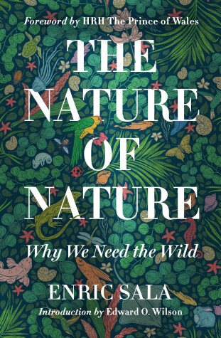 Book cover for Nature of Nature