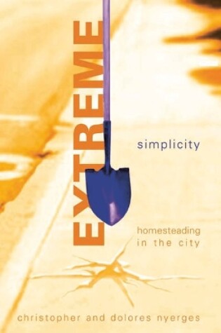 Cover of Extreme Simplicity