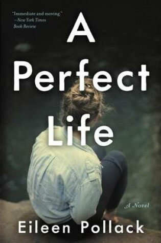 Cover of A Perfect Life