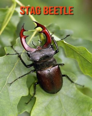 Book cover for Stag Beetle