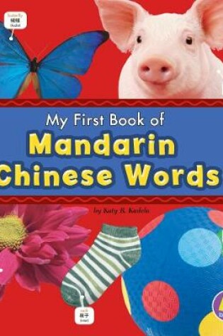 Cover of Mandarin Chinese Words