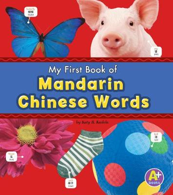 Cover of Mandarin Chinese Words